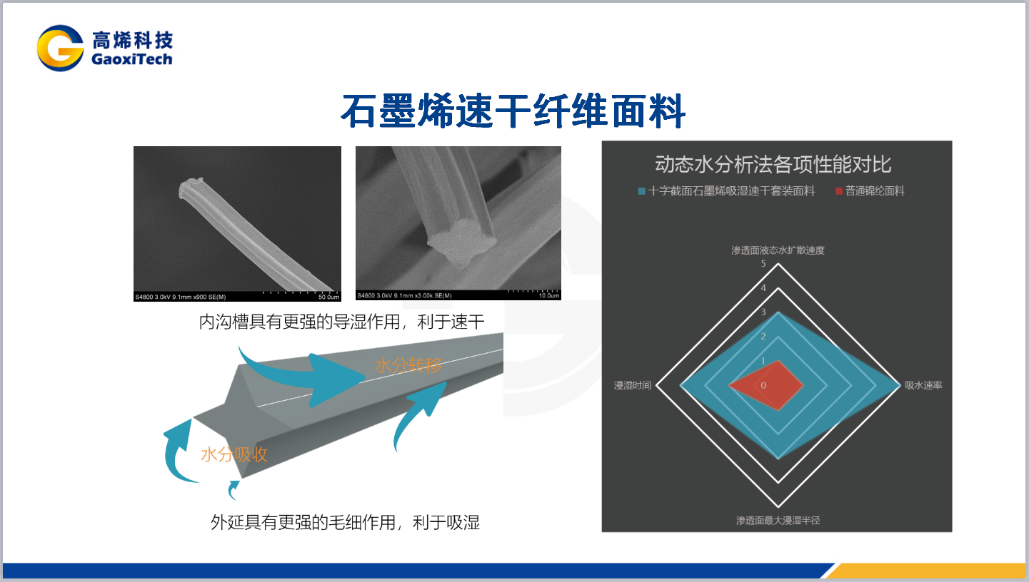 46008小鱼儿玄资料