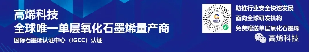 46008小鱼儿玄资料