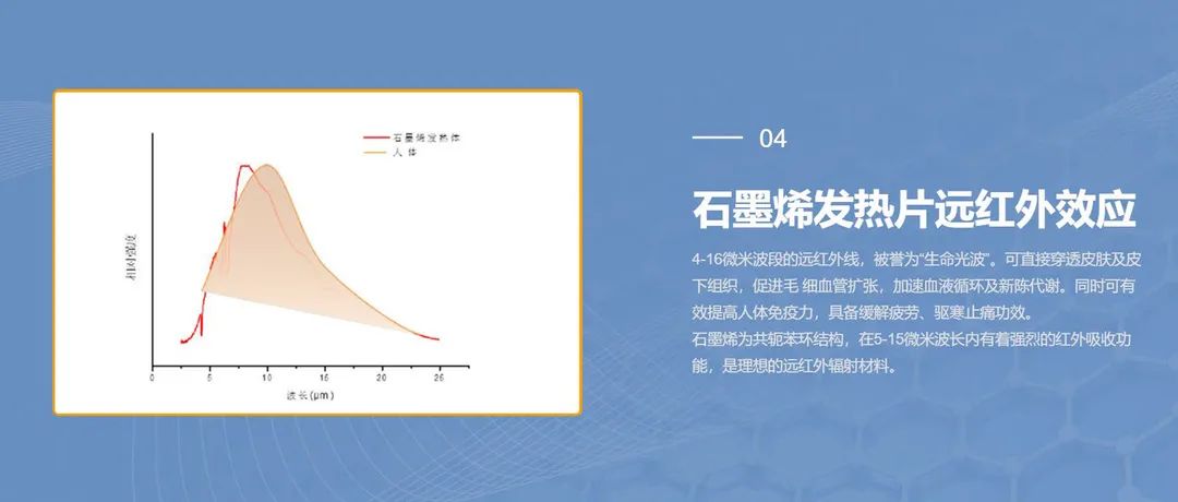 46008小鱼儿玄资料